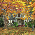 Fort Hunter Autumn